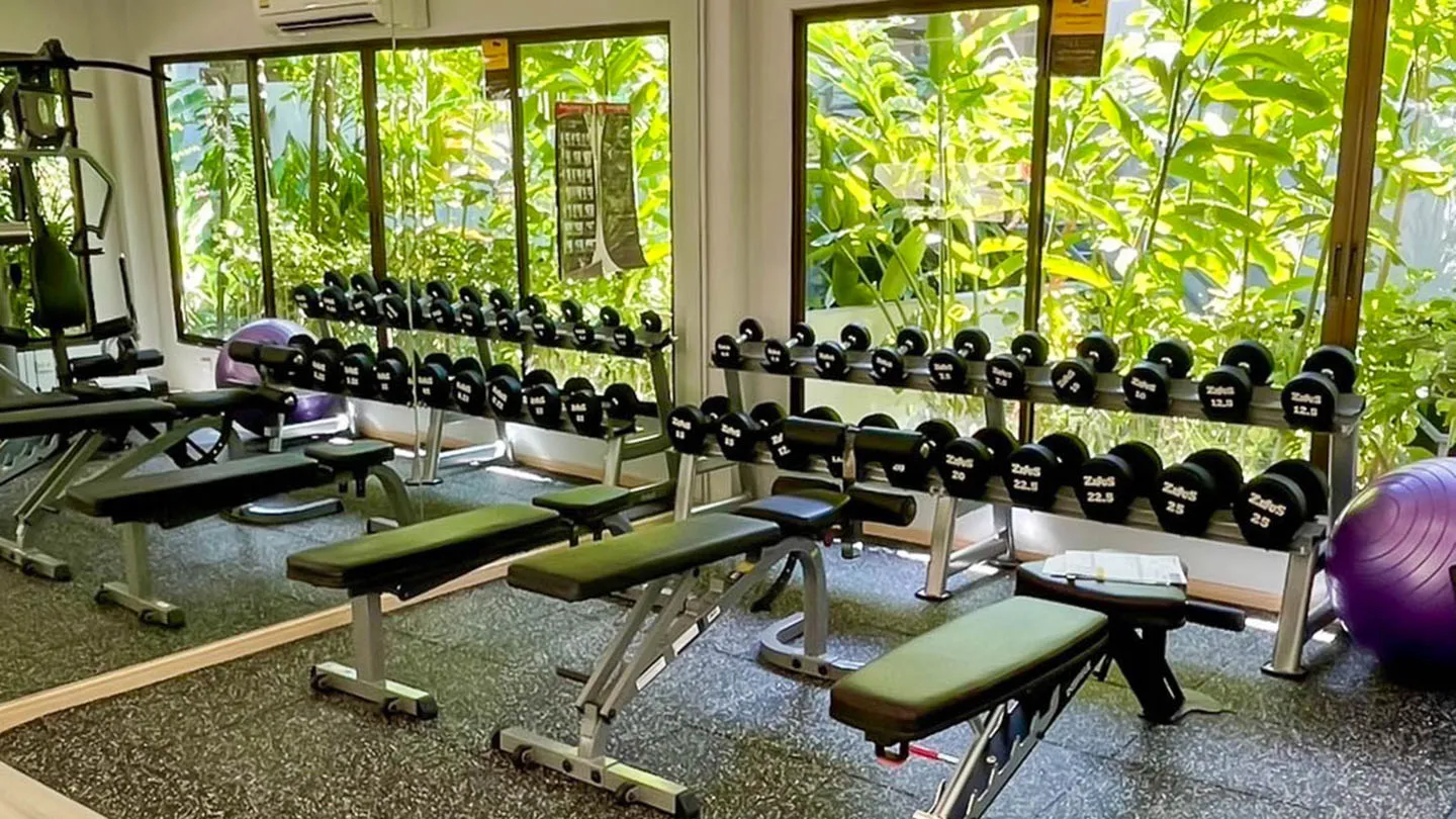 https://phuket-cannasia.websmart.asia/wp-content/uploads/2025/12/phuket-cannacia-weight-area.webp